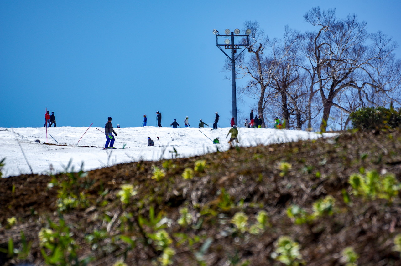 中山峠スキー場 2018-2019ウィンターシーズン・道内スキー場営業最終日。今シーズンもありがとうございました！ 